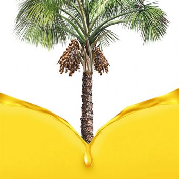 Ulei de Palmier Vrac