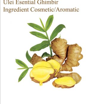 Ulei Esential Ghimbir Vrac